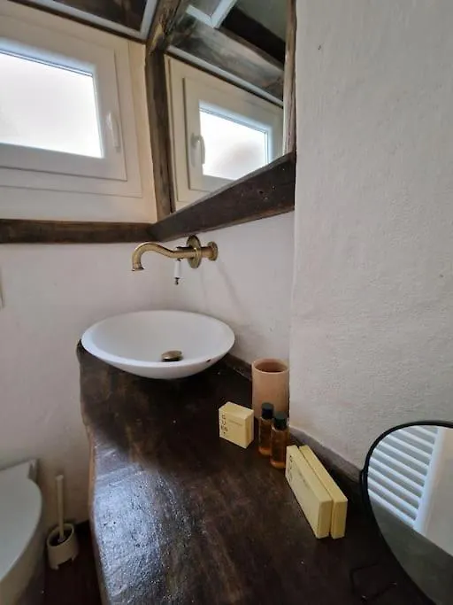 Il Cortile Di Viola Apartment Florence 0*,